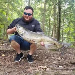 Meet your Posher, Ryan